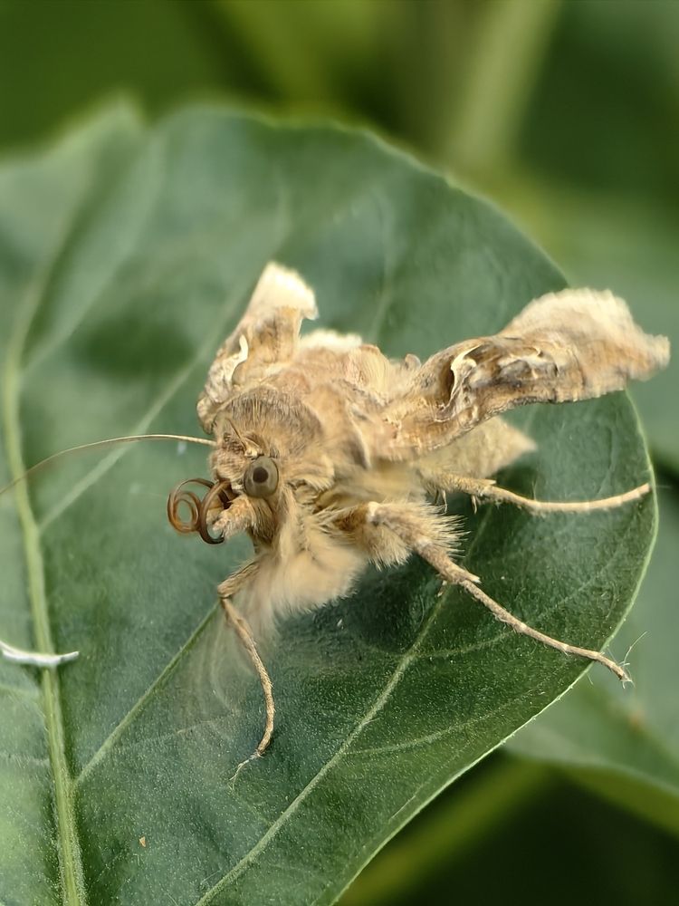 Photograph by Елена Акимова