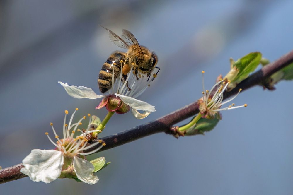 Photograph by Анатолий Чесноков