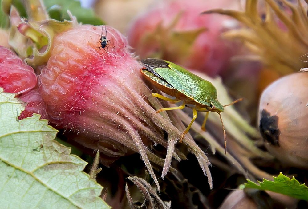 Photograph by Анатолий Чесноков