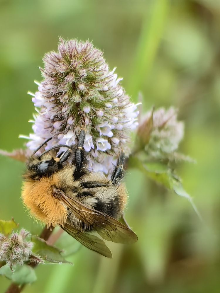 Photograph by Елена Акимова