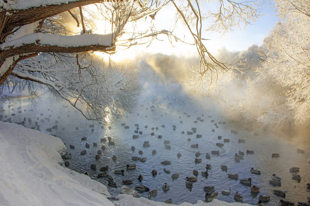 Photograph by Анастасия Северюхина