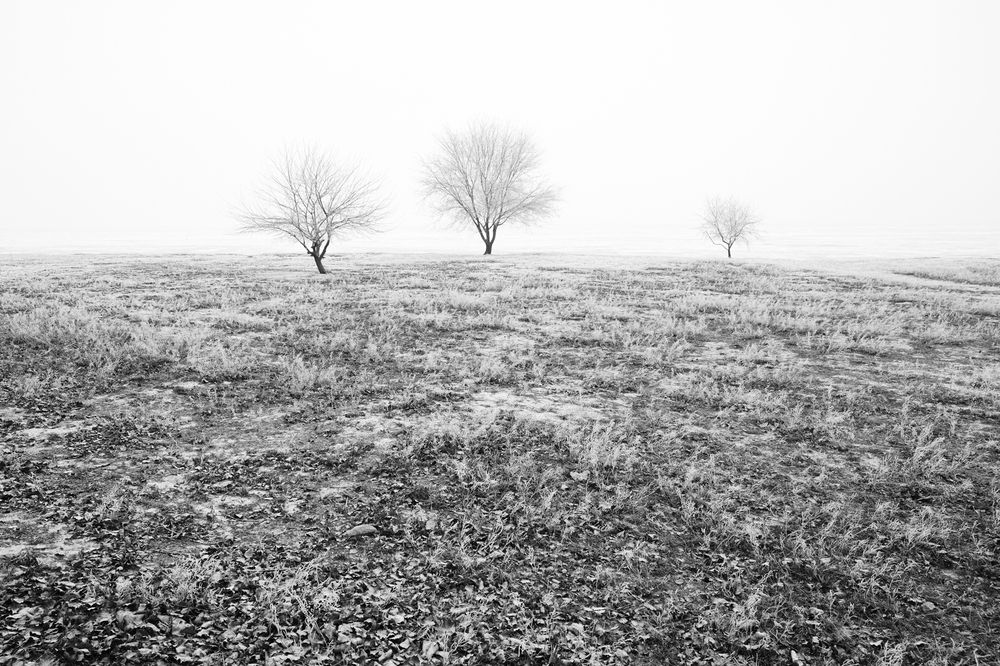 Photograph by Анатолий Садовский