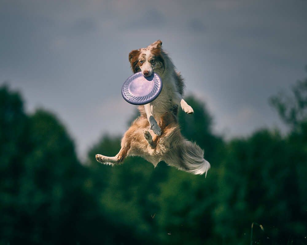 Photograph by Mikhail Khmelevskiy