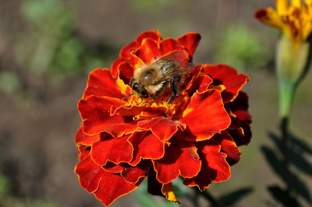 Photograph by Людмила Низова