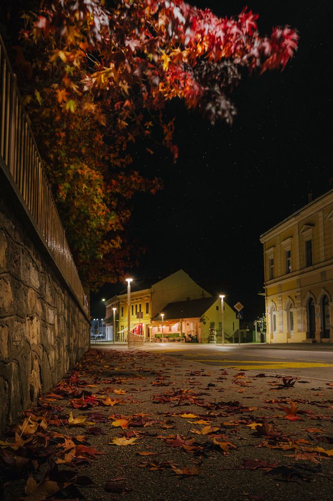 Autumn in my town - A photo project for a greener future