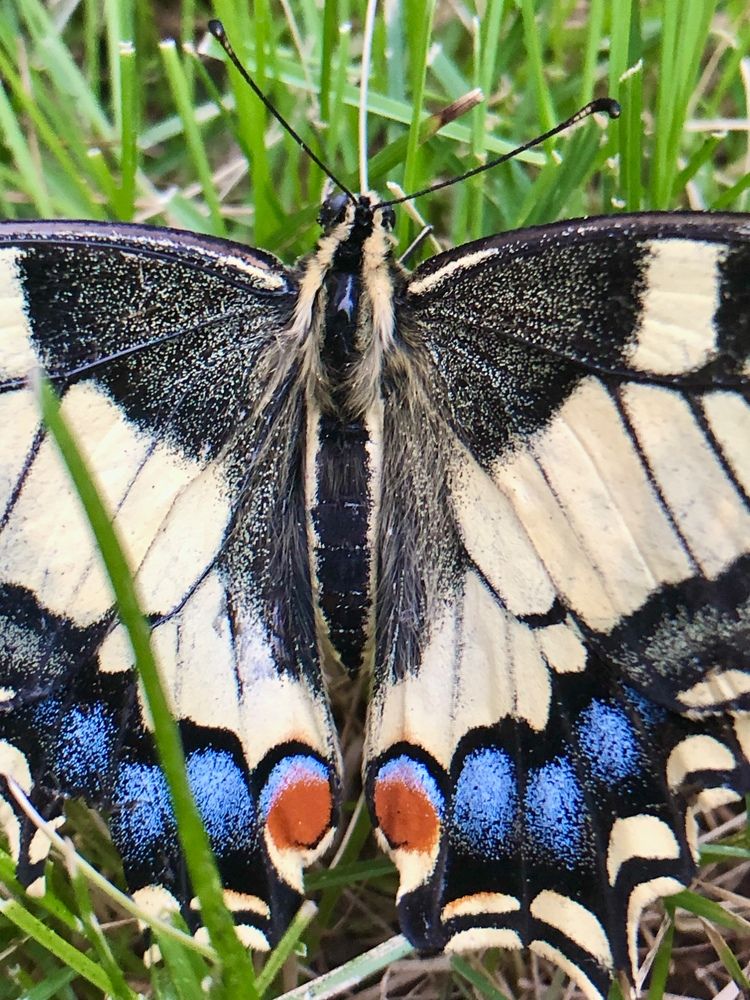 Photograph by Валерия Шишлова