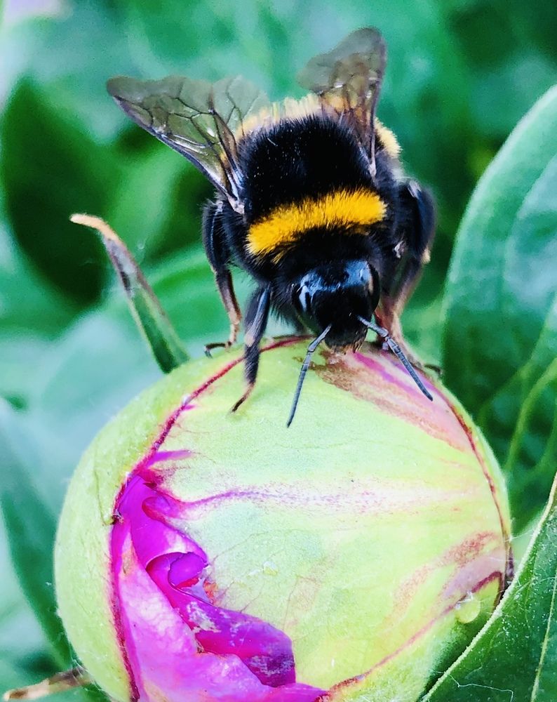 Photograph by Валерия Шишлова