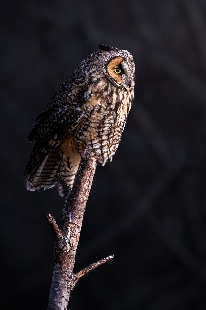 Photograph by Zhenhuan Zhou