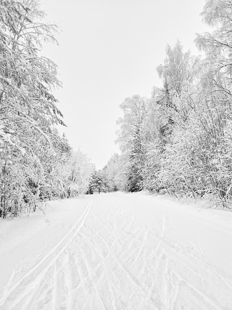 Photograph by Александр Авдушев