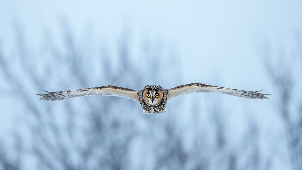 Photograph by Zhenhuan Zhou