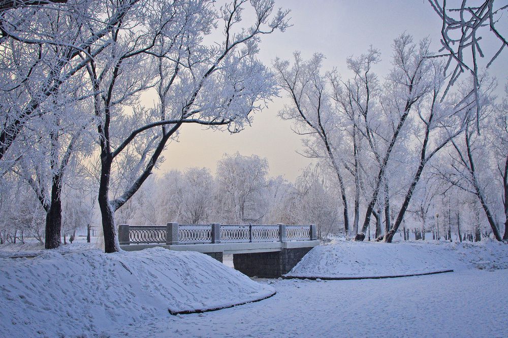 Photograph by Елена Щитова