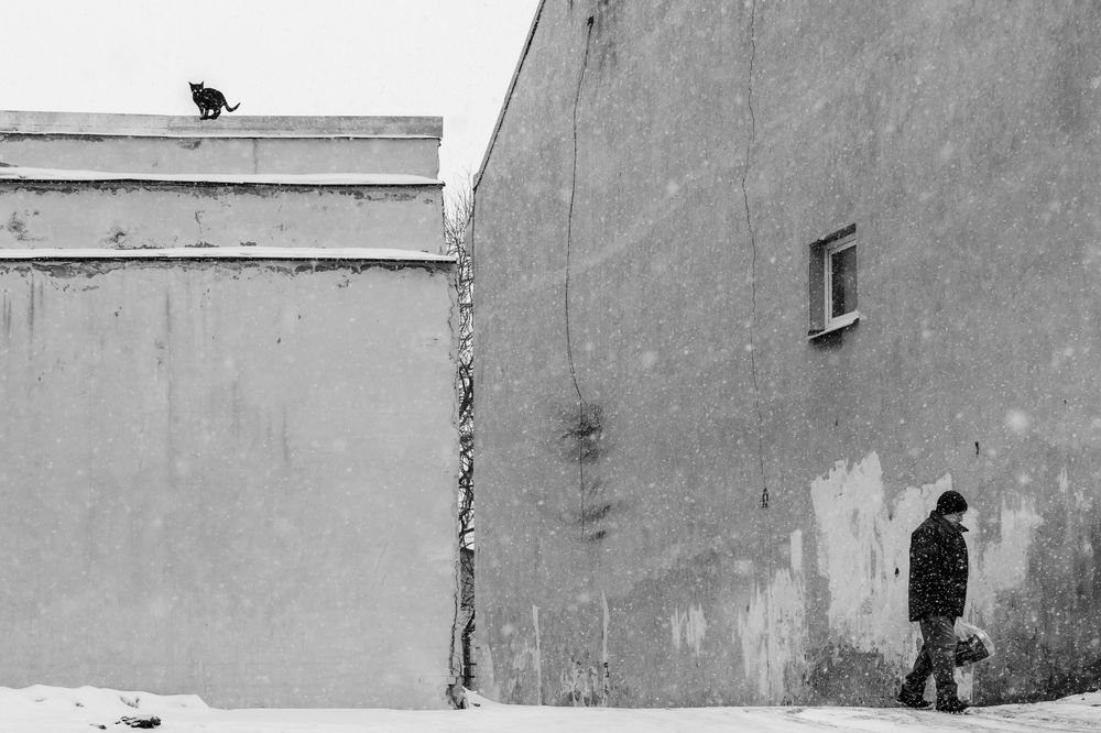 Photograph by Anna Shevardina