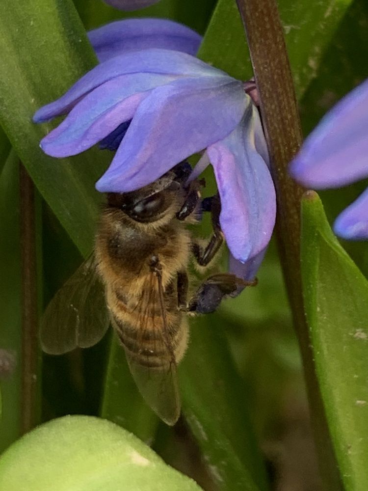 Фотография автора Ирина Шпаковская