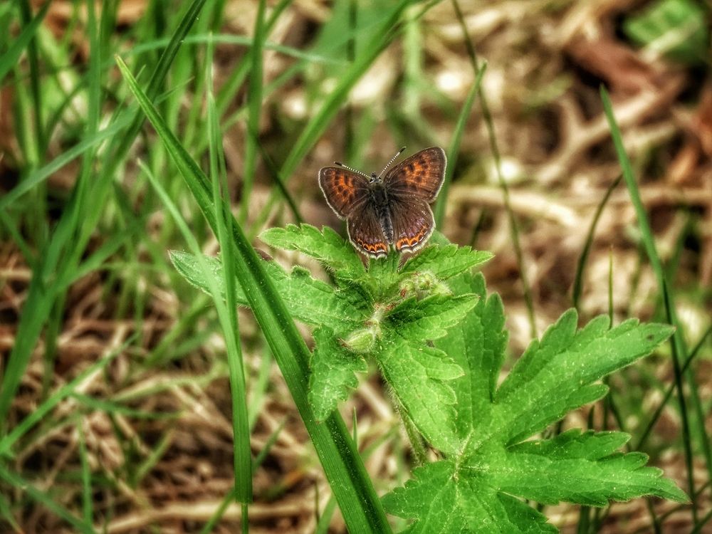 Фотография автора Екатерина Солохина