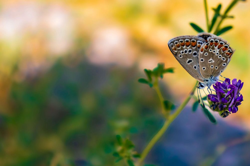 Photograph by Анастасия Мерчик