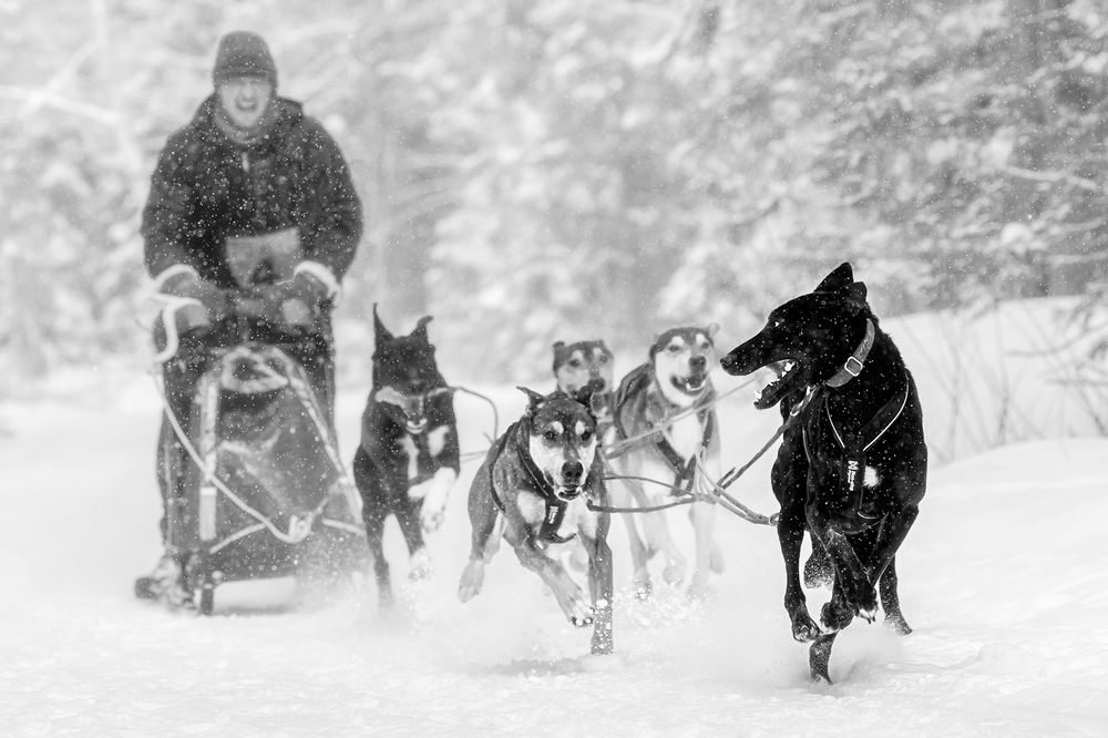 Photograph by Zhenhuan Zhou