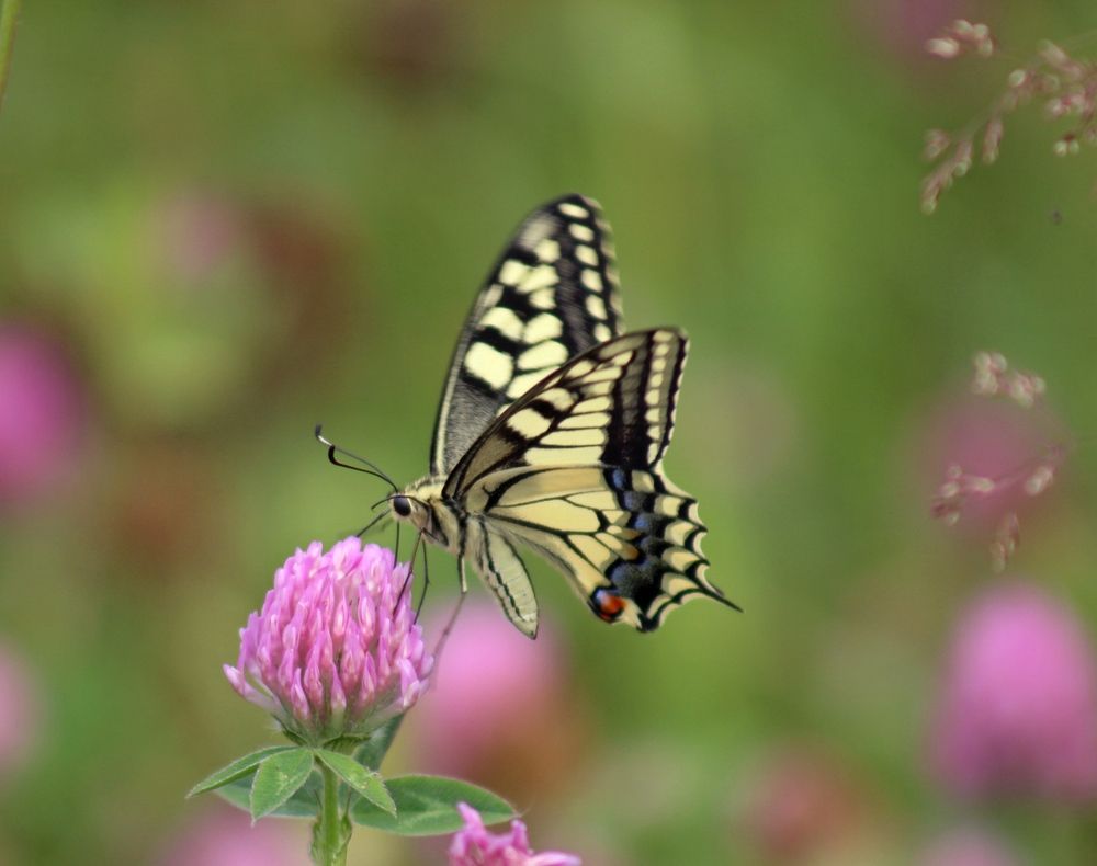 Photograph by Светлана Булыгина