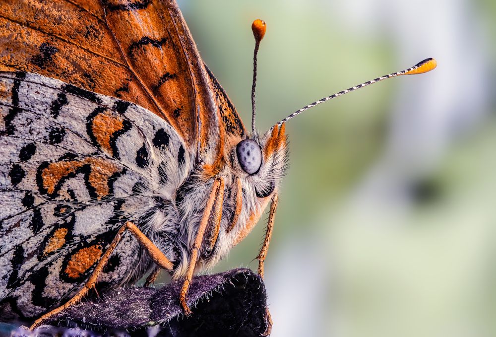 Photograph by Роман Васильев