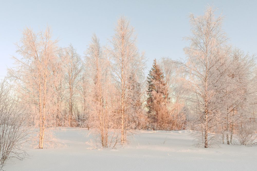 Photograph by Андрей Симаков