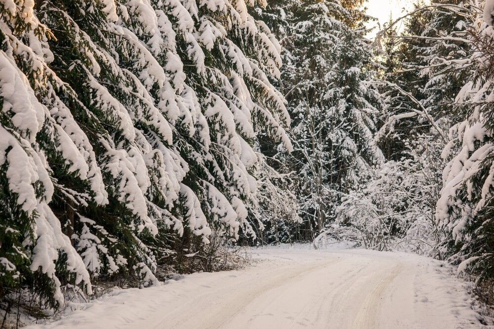 Photograph by Dace Spalvina