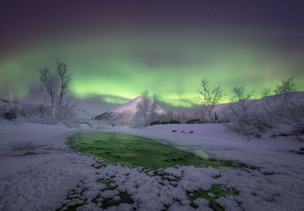 Photograph by Елена Ермолина