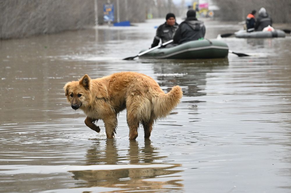 Photograph by Жданов Анатолий