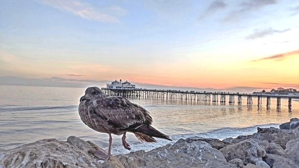 Photograph by Lavlad L