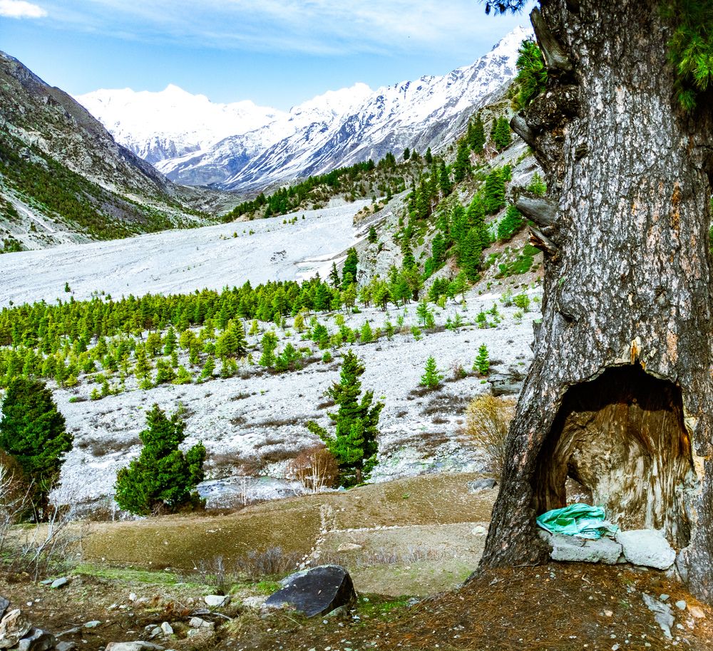 Photograph by Pritam Majumder