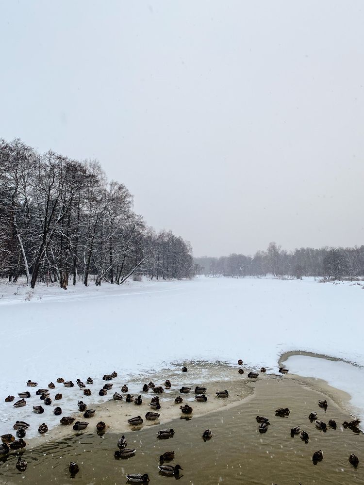 Фотография автора Дарья Андреева