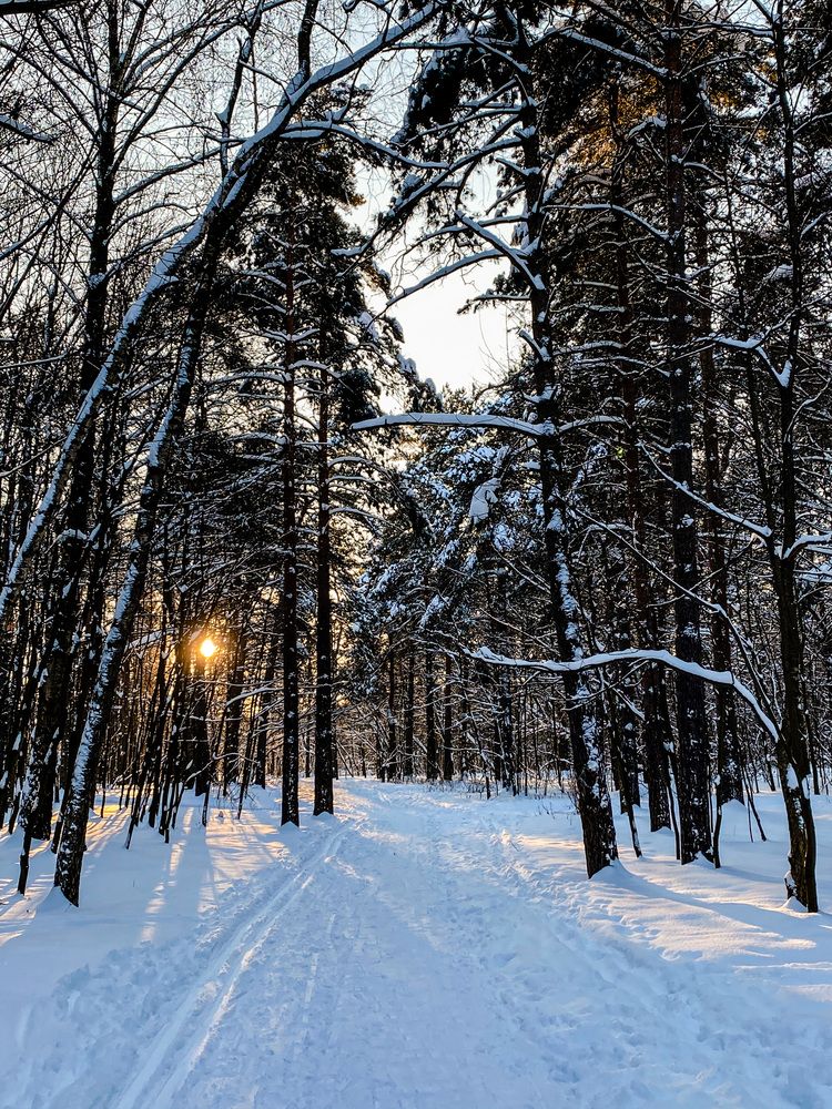 Photograph by Дарья Андреева