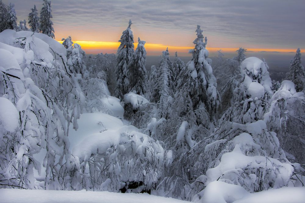 Photograph by Анастасия Северюхина