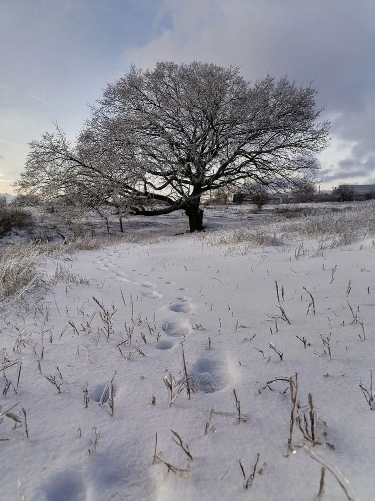 Photograph by Анжелика