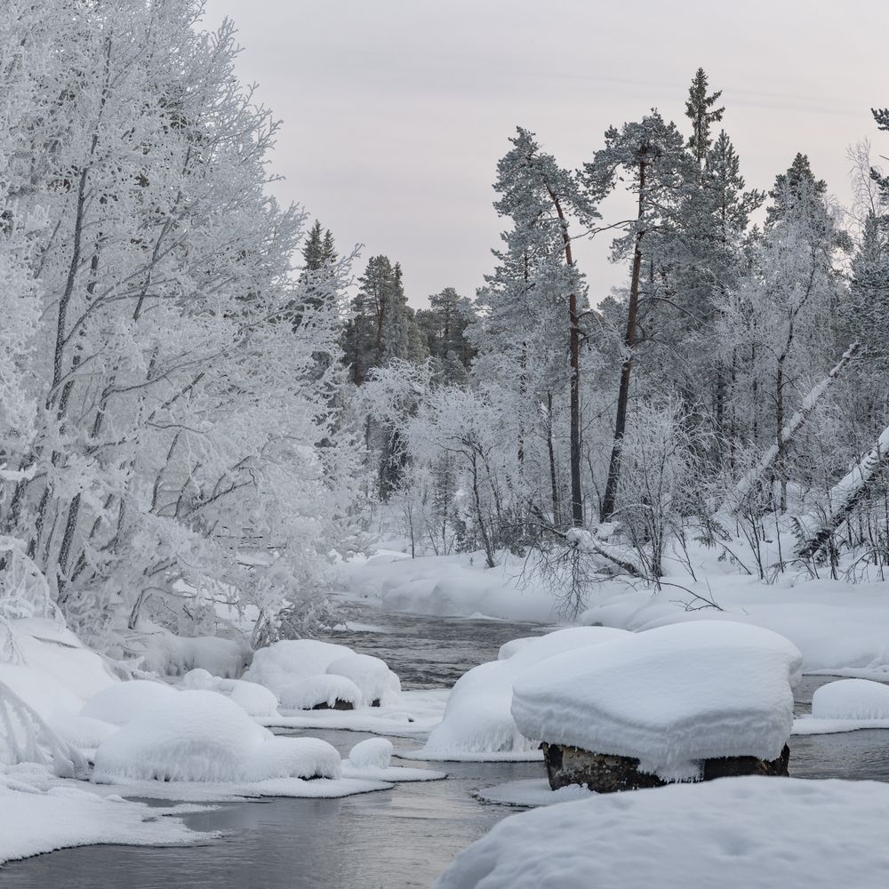 Photograph by Карамышева Дарья