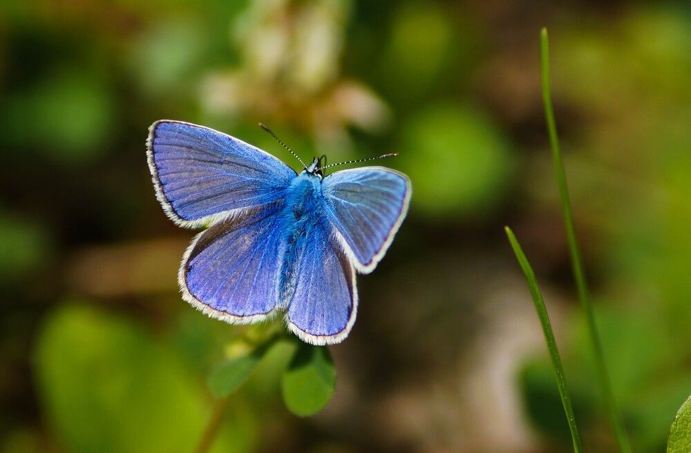 Photograph by Наталья Екимова