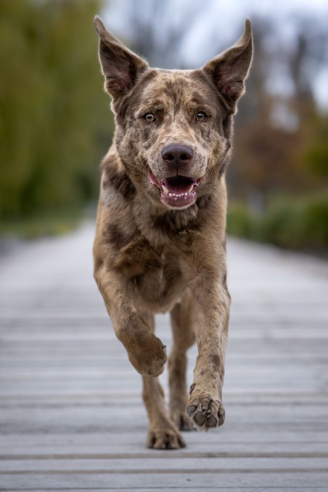 Фотография автора Andrea Forejtová