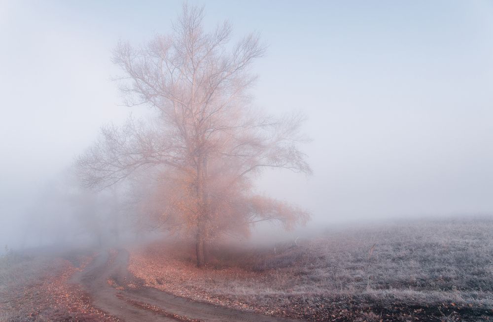 Photograph by Толстоноженко Илья