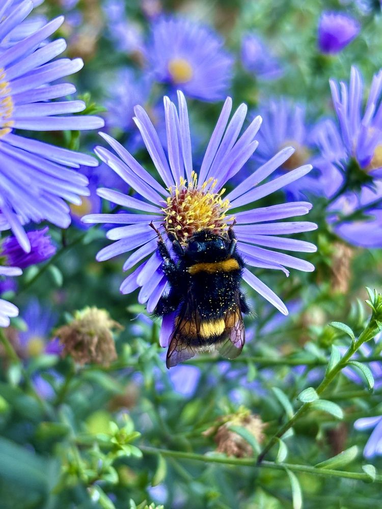 Photograph by Лариса Кузнецова