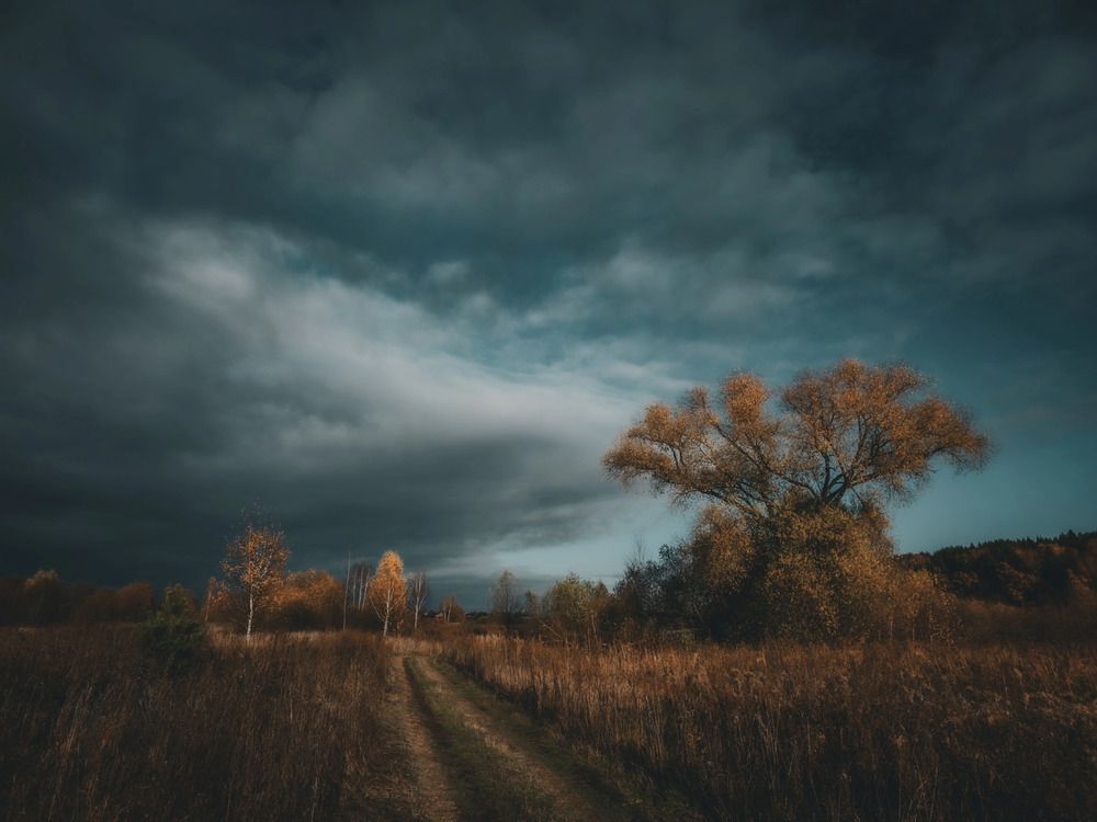 Photograph by Кирилл Сидоров