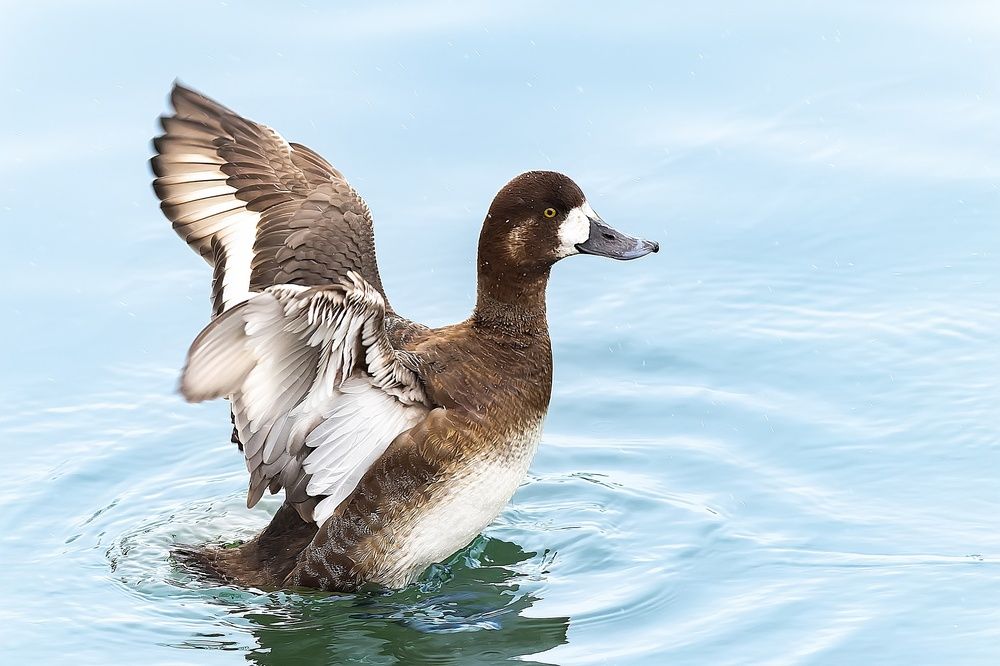 Photograph by Широких Александр