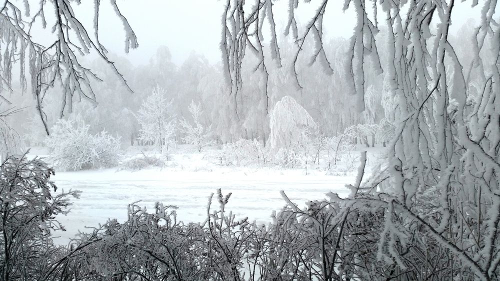 Photo #11937202