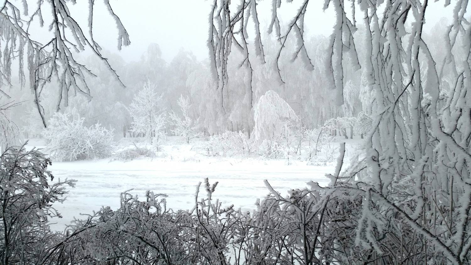 Photo #11937202