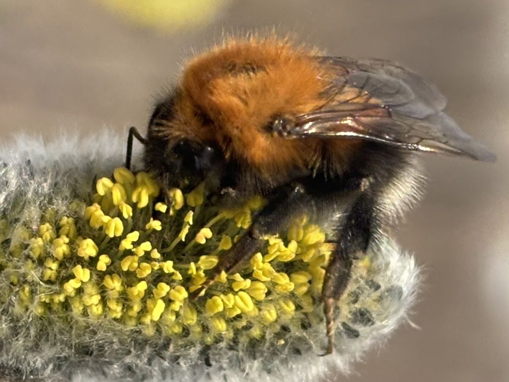 Photograph by Юлия