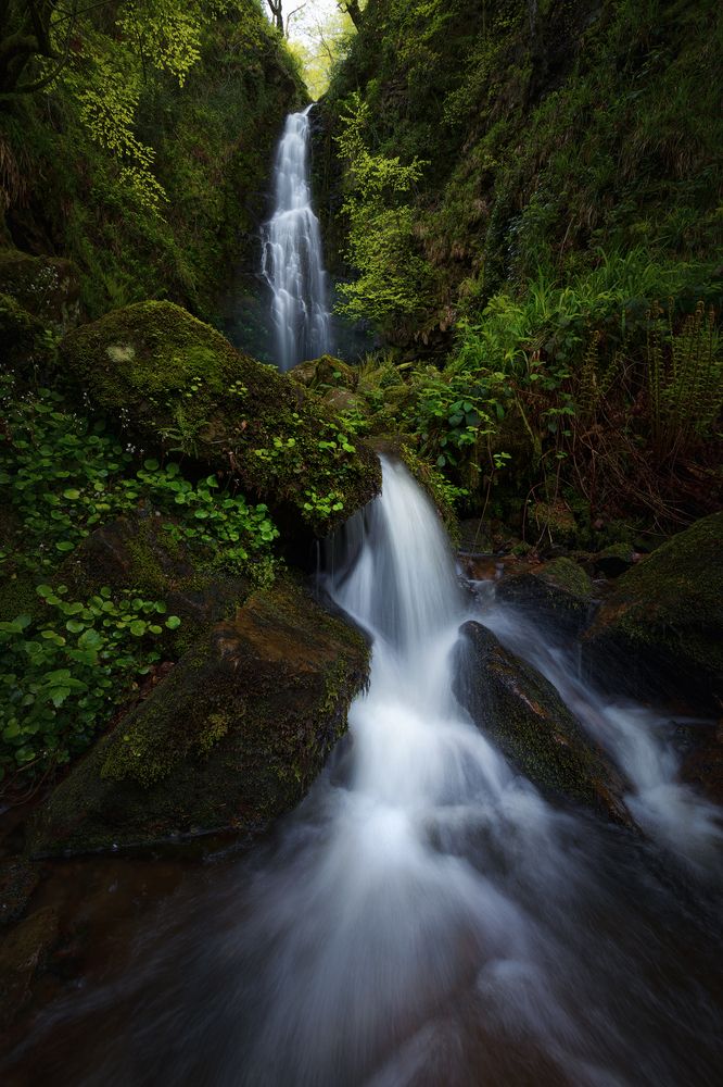 Photograph by Tomás Sánchez