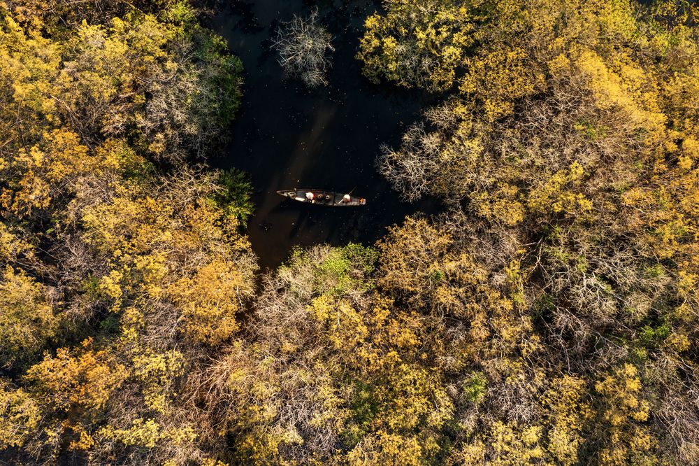 Фотография автора Dao Ngoc Canh