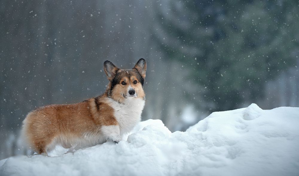 Photograph by Анна Орлова