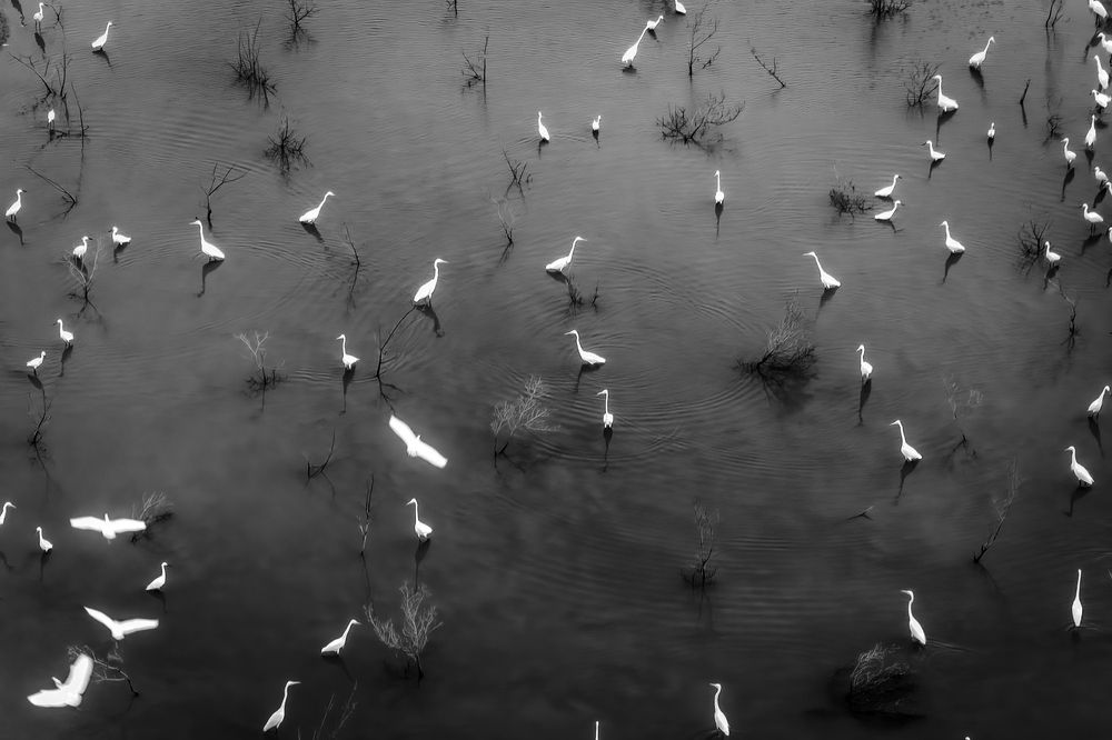 Photograph by Cao Alex