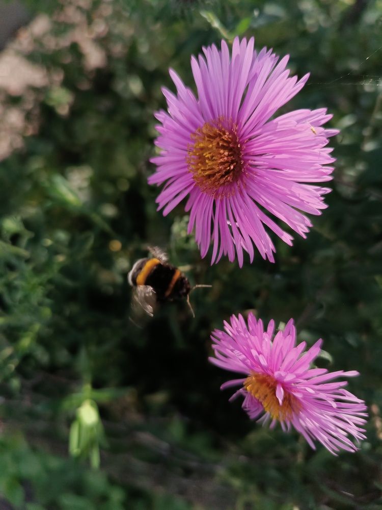 Photograph by Olga Kot