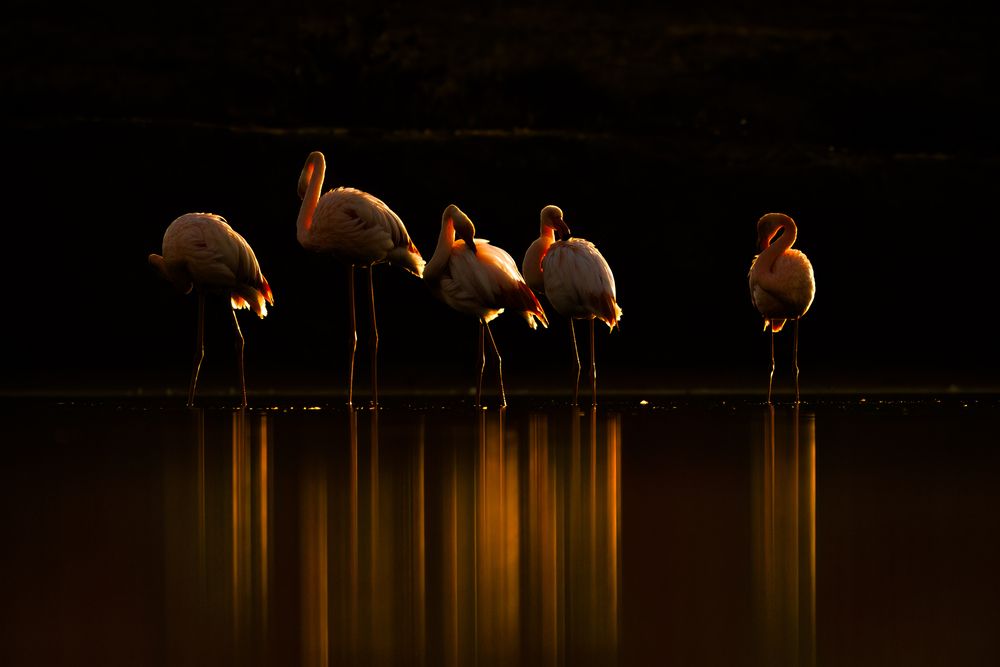 Фотография автора Patryk Kurc