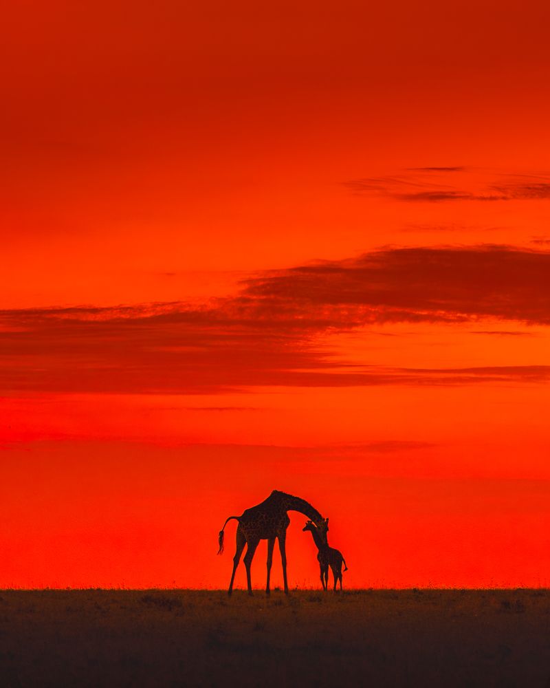 Photograph by Jayakumar MN