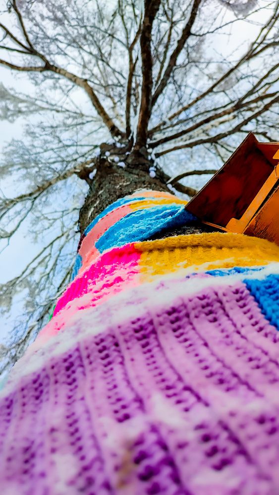 Photograph by Людмила Сергеева